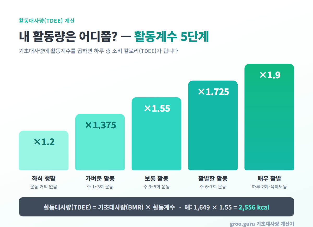 활동계수 5단계 막대 그래프 — 좌식 생활 1.2, 가벼운 활동(주 1~3회) 1.375, 보통 활동(주 3~5회) 1.55, 활발한 활동(주 6~7회) 1.725, 매우 활발(하루 2회 운동·육체노동) 1.9. 활동대사량(TDEE)은 기초대사량 × 활동계수로 계산